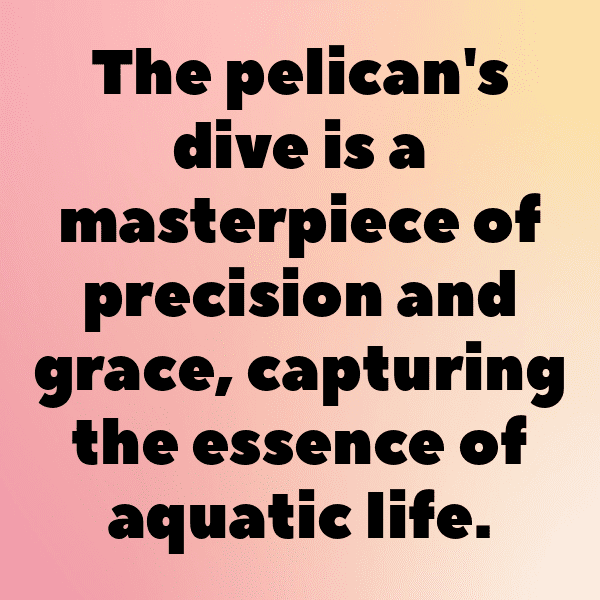 Pelican Captions Photo For Instagram-0nToUr