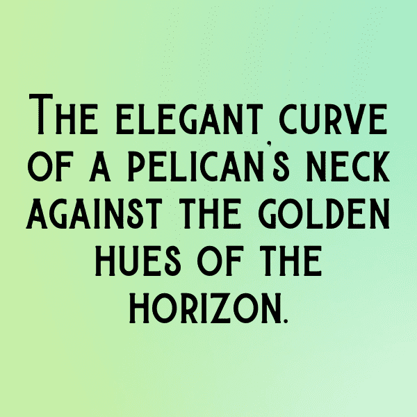 Pelican Captions Photo For Instagram-XloXh9