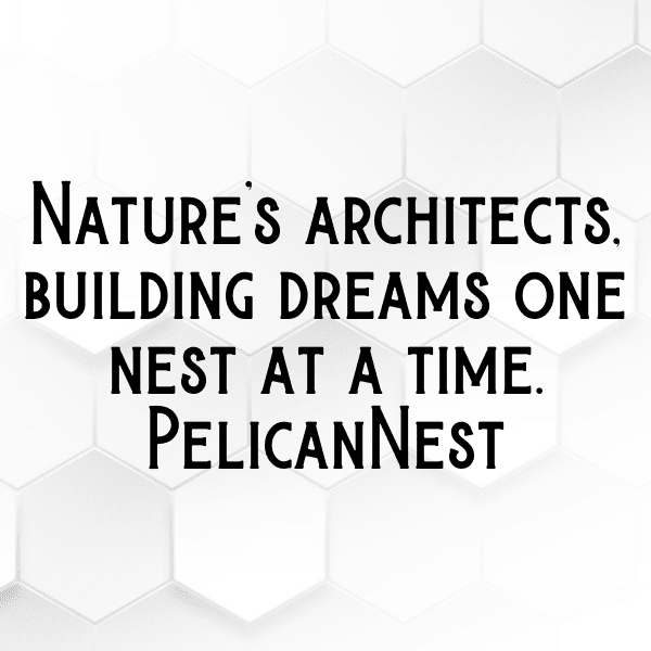 Pelican Captions Photo For Instagram-zrQi7R