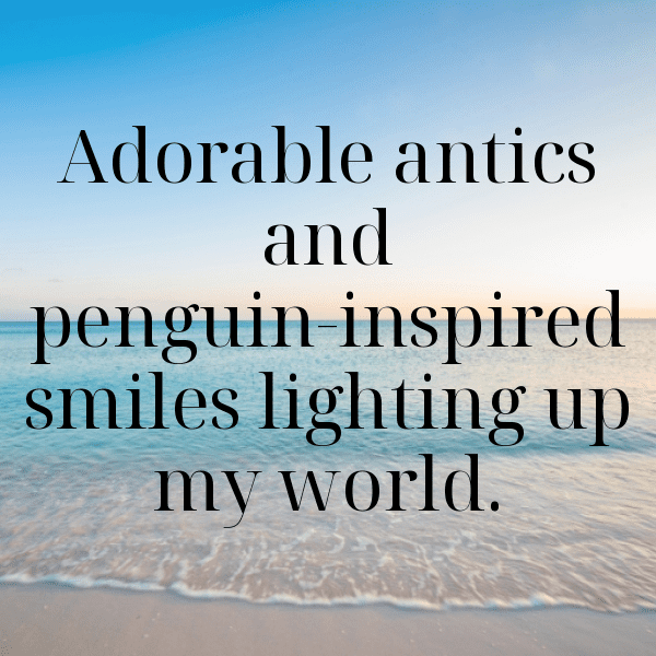 341+ Penguin Captions For Instagram (Short, Trending & Viral) 3 Penguin Captions Image For Instagram-3si8Ei