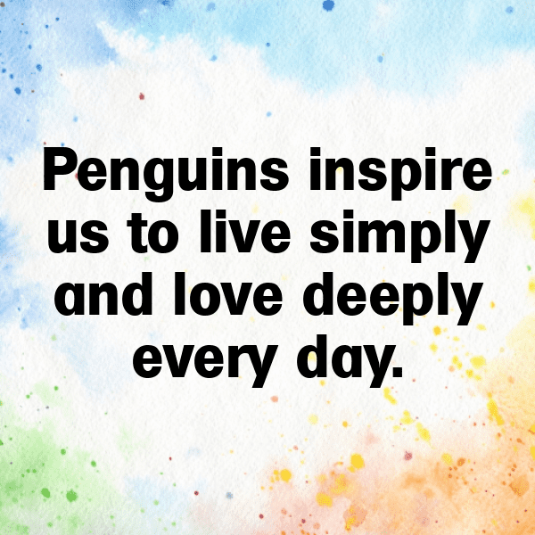341+ Penguin Captions For Instagram (Short, Trending & Viral) 9 Penguin Captions Image For Instagram-AozgY3