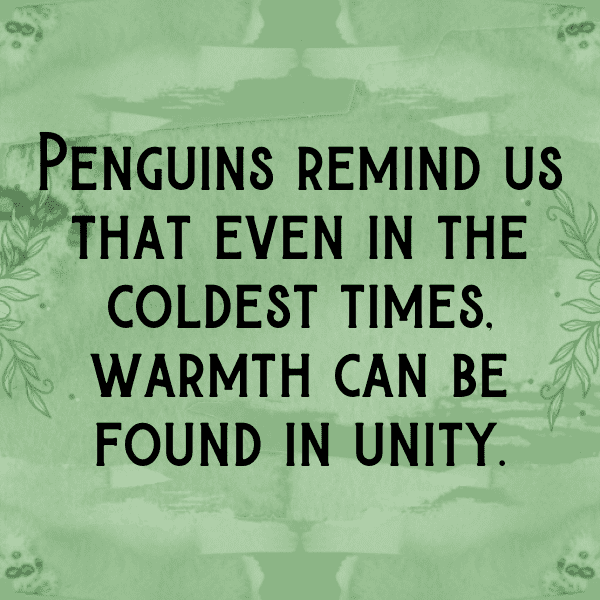 341+ Penguin Captions For Instagram (Short, Trending & Viral) 19 Penguin Captions Image For Instagram-gYyruw