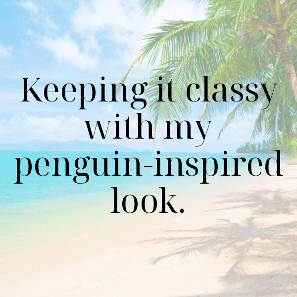341+ Penguin Captions For Instagram (Short, Trending & Viral) 15 Penguin Captions Image For Instagram-x864Vn