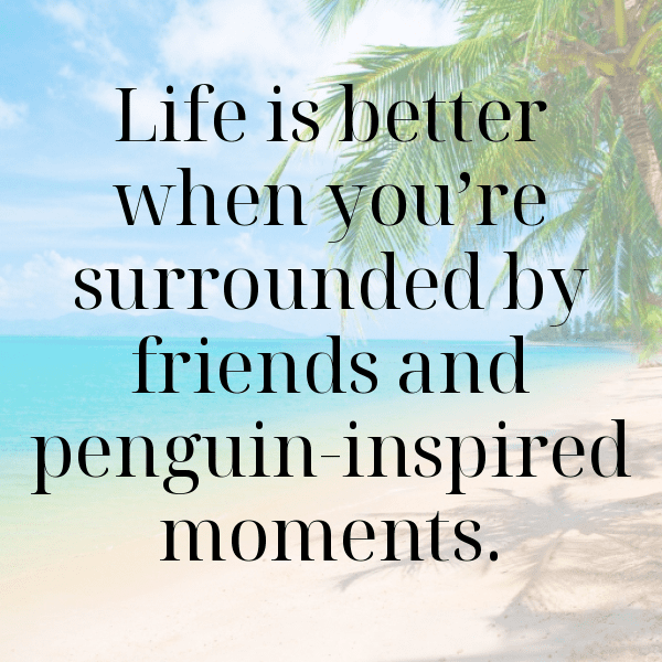 341+ Penguin Captions For Instagram (Short, Trending & Viral) 16 Penguin Captions Image For Instagram-xnhAGW