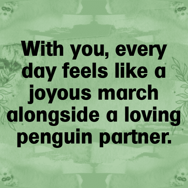 341+ Penguin Captions For Instagram (Short, Trending & Viral) 5 Penguin Captions Photo For Instagram-AUcwuA