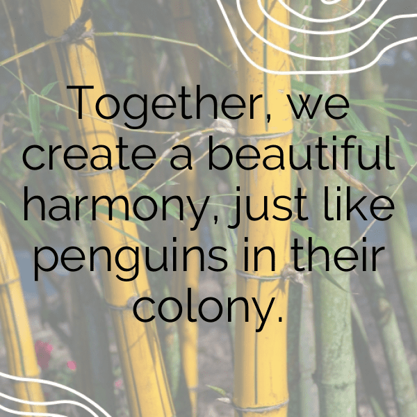 341+ Penguin Captions For Instagram (Short, Trending & Viral) 17 Penguin Captions Photo For Instagram-eaYnRr