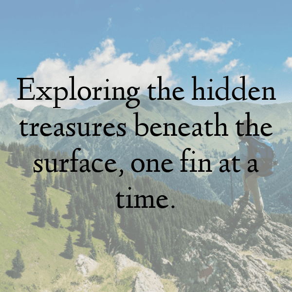 341+ Penguin Captions For Instagram (Short, Trending & Viral) 11 Penguin Captions Photo For Instagram-QDd5LC