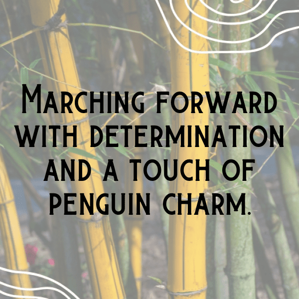 341+ Penguin Captions For Instagram (Short, Trending & Viral) 4 Penguin Captions Photo For Instagram-rWj4OL