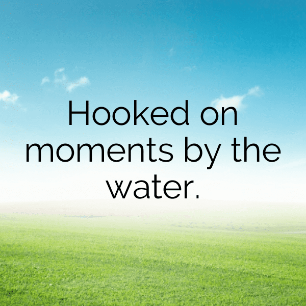 341+ Penguin Captions For Instagram (Short, Trending & Viral) 18 Penguin Captions Photo For Instagram-t1DPbX