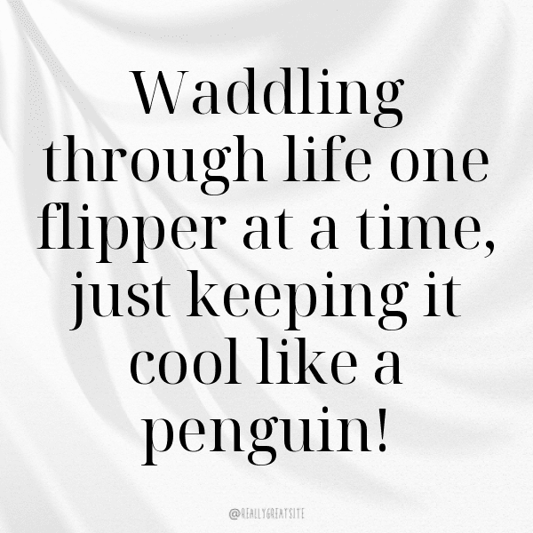 341+ Penguin Captions For Instagram (Short, Trending & Viral) 7 Penguin Captions Photo For Instagram-tk3IYz