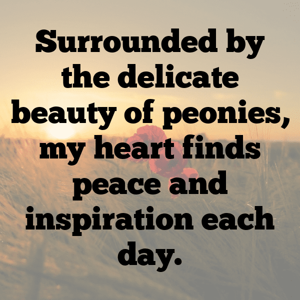 Peony Captions Image For Instagram-BqWAPE