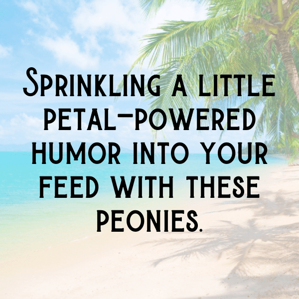 Peony Captions Image For Instagram-fFwRhv