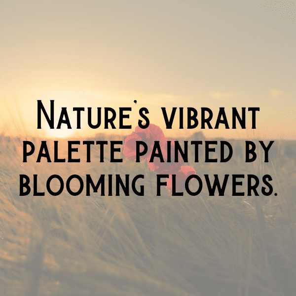 Peony Captions Image For Instagram-mxer35