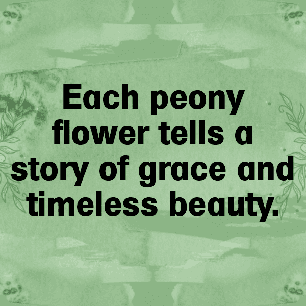 Peony Captions Image For Instagram-pGmUJT