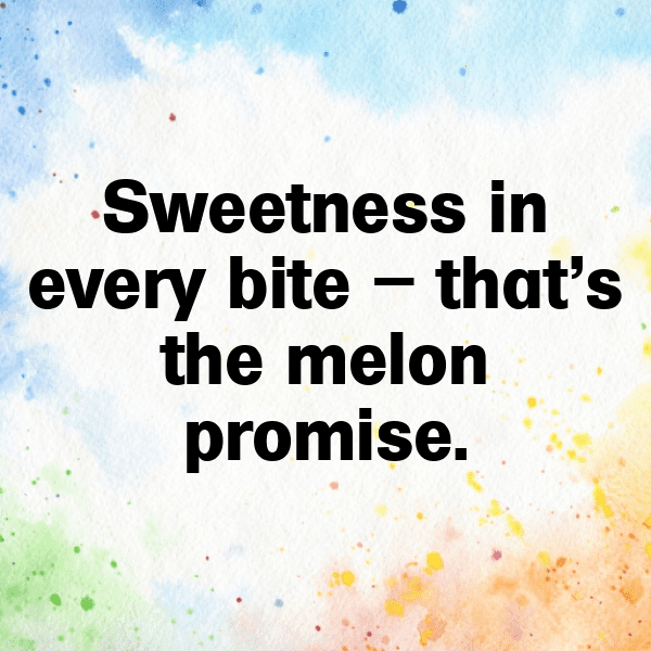 Pepino Melon Captions Image For Instagram-I0pt07