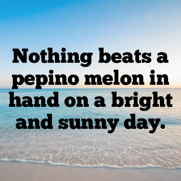 Pepino Melon Captions Image For Instagram-XS8UIf