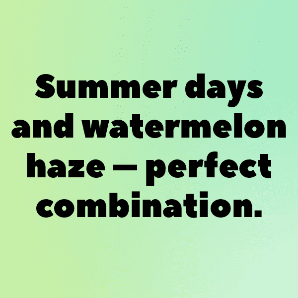 Pepino Melon Captions Photo For Instagram-wha2ol