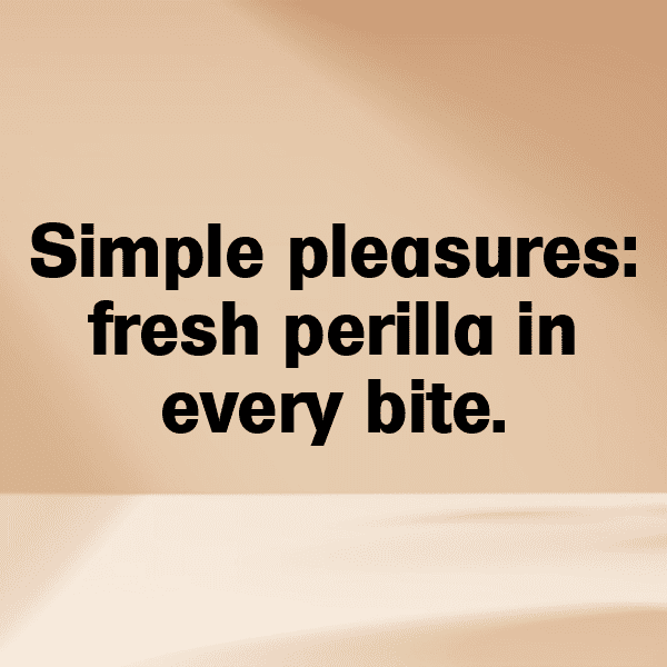 250+ Perilla Captions For Instagram (Best, Funny & Short) 9 Perilla Captions Image For Instagram-FQSrEX