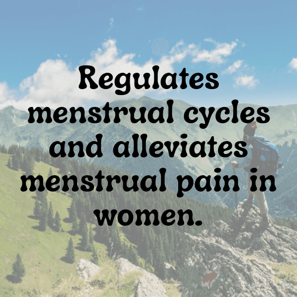 250+ Perilla Captions For Instagram (Best, Funny & Short) 12 Perilla Captions Image For Instagram-LZNidN