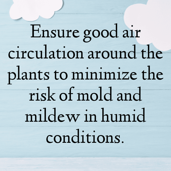 250+ Perilla Captions For Instagram (Best, Funny & Short) 15 Perilla Captions Image For Instagram-mtelKC