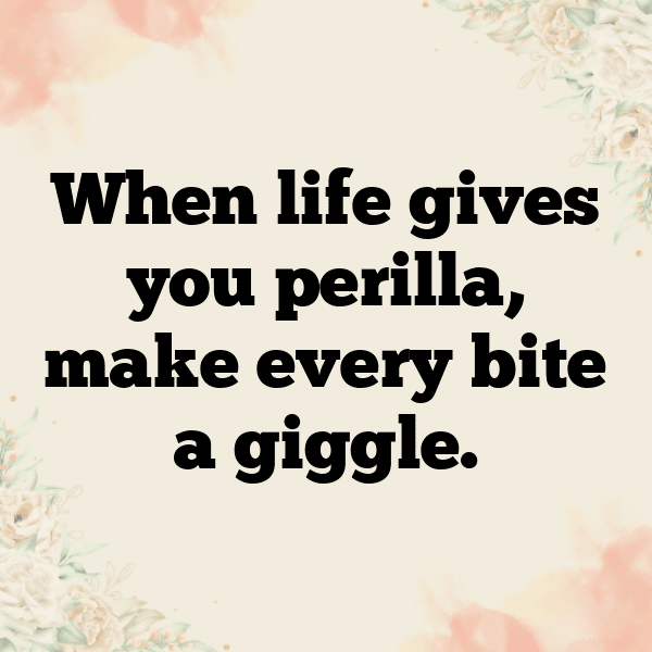 250+ Perilla Captions For Instagram (Best, Funny & Short) 5 Perilla Captions Photo For Instagram-FhCnVg