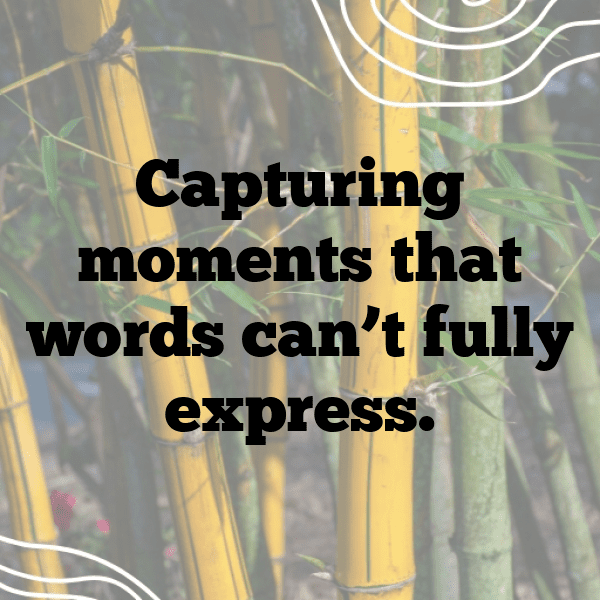 250+ Perilla Captions For Instagram (Best, Funny & Short) 4 Perilla Captions Photo For Instagram-Xv1NrD