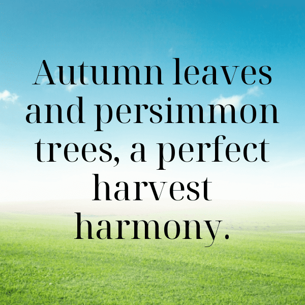 337+ Persimmon Captions For Instagram (Best, Funny & Short) 19 Persimmon Captions Image For Instagram-HbnoqJ