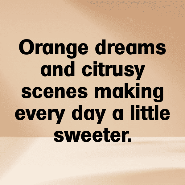 337+ Persimmon Captions For Instagram (Best, Funny & Short) 11 Persimmon Captions Image For Instagram-vAj4rF