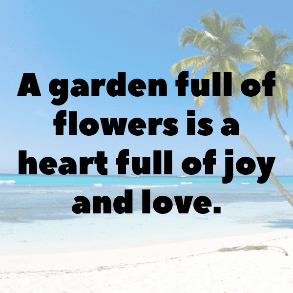 337+ Persimmon Captions For Instagram (Best, Funny & Short) 4 Persimmon Captions Image For Instagram-Zvl2tA