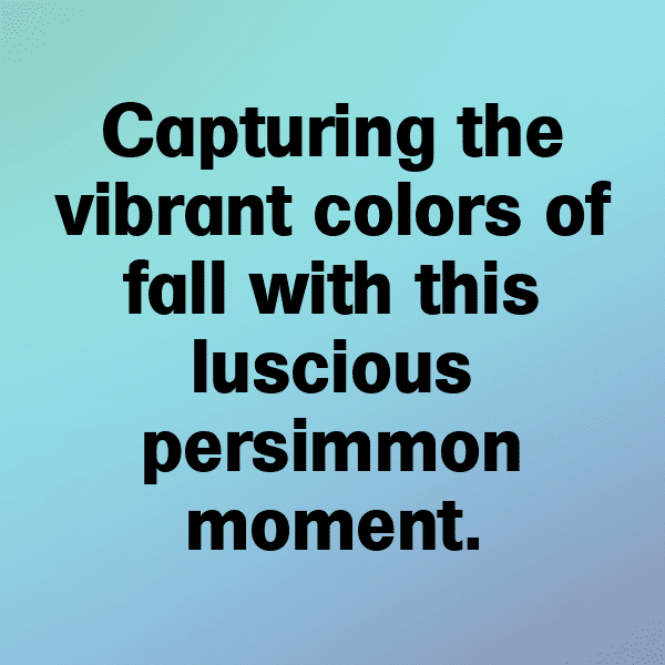 337+ Persimmon Captions For Instagram (Best, Funny & Short) 15 Persimmon Captions Photo For Instagram-eLto1O