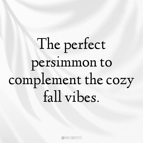 337+ Persimmon Captions For Instagram (Best, Funny & Short) 16 Persimmon Captions Photo For Instagram-KThPdN