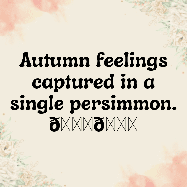337+ Persimmon Captions For Instagram (Best, Funny & Short) 20 Persimmon Captions Photo For Instagram-PSqERa