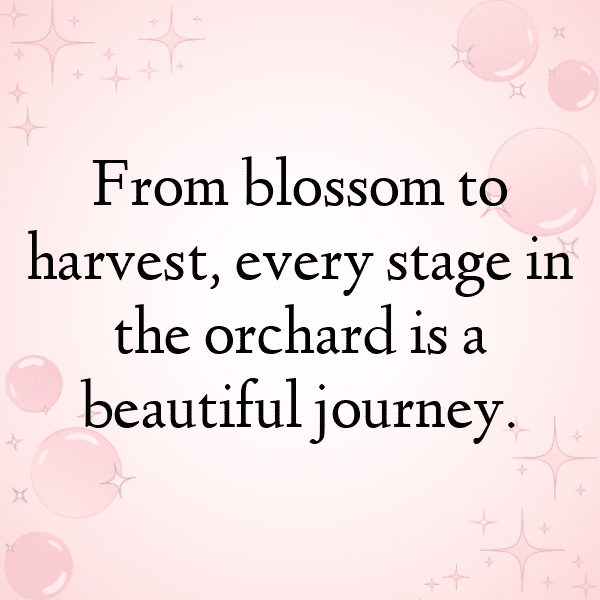 337+ Persimmon Captions For Instagram (Best, Funny & Short) 7 Persimmon Captions Photo For Instagram-TKPWUz