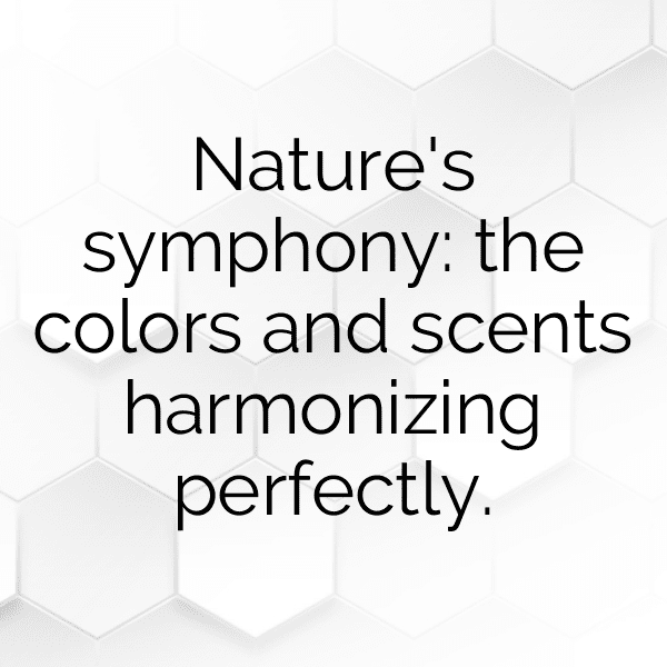 337+ Persimmon Captions For Instagram (Best, Funny & Short) 3 Persimmon Captions Photo For Instagram-yXRjbP