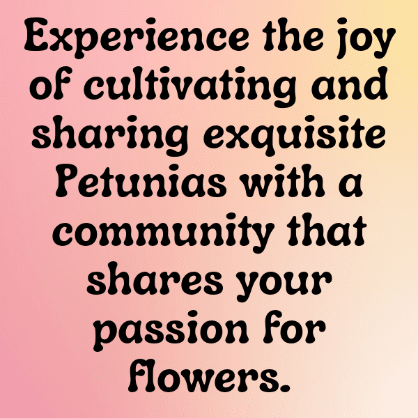 Petunia Captions Image For Instagram-iyBOwH