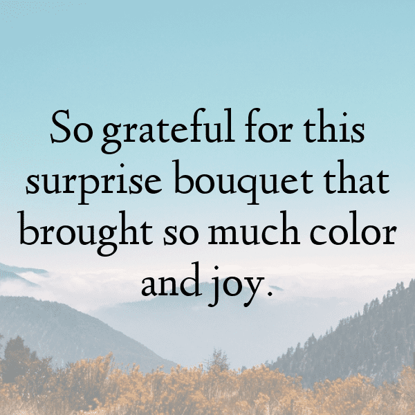 Petunia Captions Image For Instagram-Y68MYR