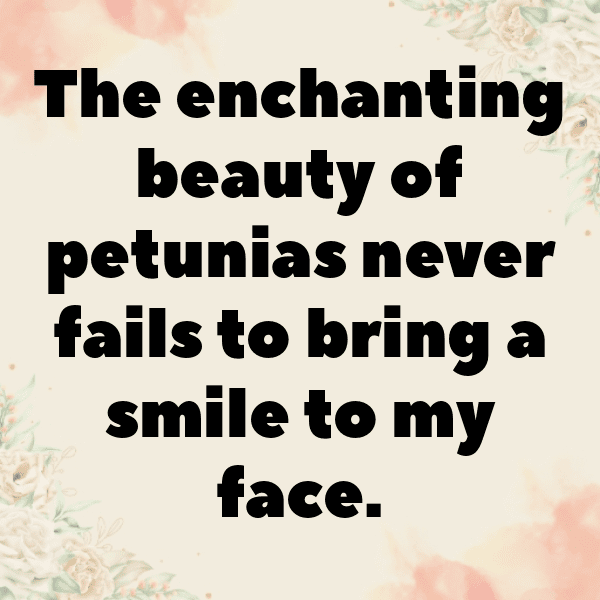 Petunia Captions Photo For Instagram-p6HSAh