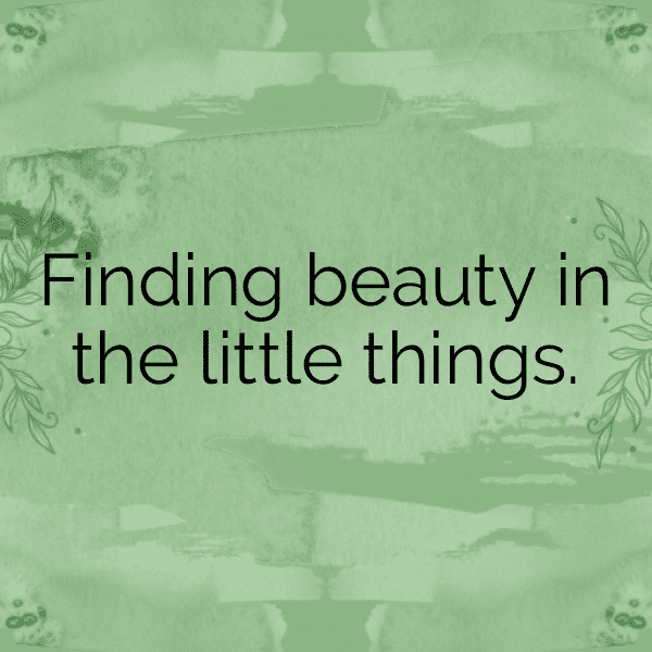 Peumo Captions Image For Instagram-H60EZk