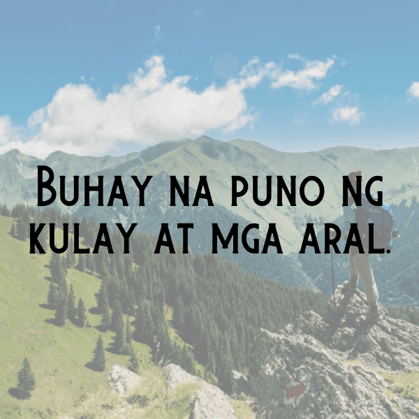 247+ Philippines Captions For Instagram (Fresh & Trendy) 20 Philippines Captions Photo For Instagram-3TyqaP