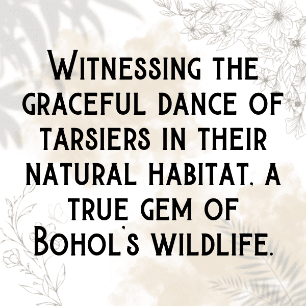 247+ Philippines Captions For Instagram (Fresh & Trendy) 3 Philippines Captions Photo For Instagram-RkcOxZ