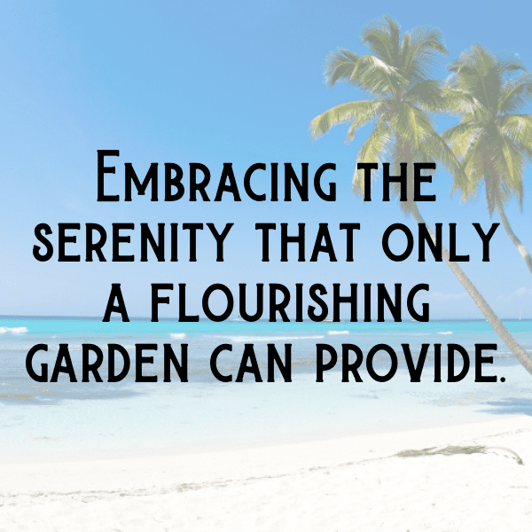 Phlox Captions Photo For Instagram-m3jOH7