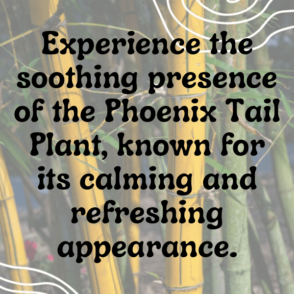 Phlox Captions Photo For Instagram-ND55EH