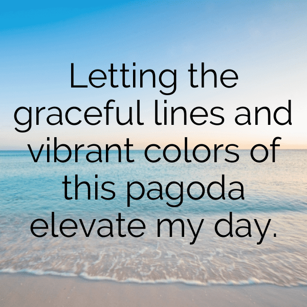 301+ Physalis Captions For Instagram (Best, Funny & Short) 11 Physalis Captions Photo For Instagram-prTl6d