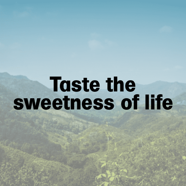 301+ Physalis Captions For Instagram (Best, Funny & Short) 12 Physalis Captions Photo For Instagram-VNUVQE