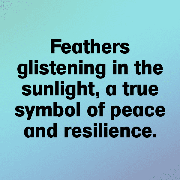 217+ Pigeon Captions For Instagram (Fresh & Trendy) 15 Pigeon Captions Image For Instagram-4qQFiV