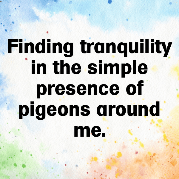 217+ Pigeon Captions For Instagram (Fresh & Trendy) 8 Pigeon Captions Image For Instagram-BNgBOJ