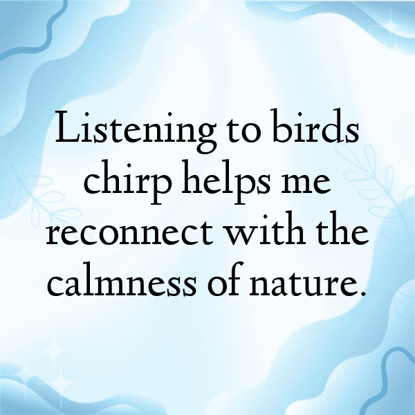 217+ Pigeon Captions For Instagram (Fresh & Trendy) 4 Pigeon Captions Image For Instagram-EiCunP