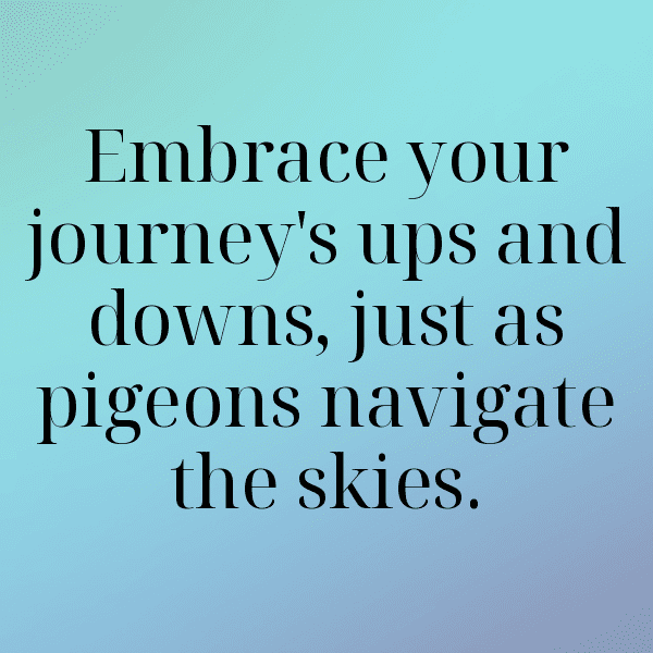 217+ Pigeon Captions For Instagram (Fresh & Trendy) 18 Pigeon Captions Image For Instagram-hgP0W1