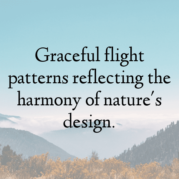 217+ Pigeon Captions For Instagram (Fresh & Trendy) 17 Pigeon Captions Image For Instagram-mJSZ84