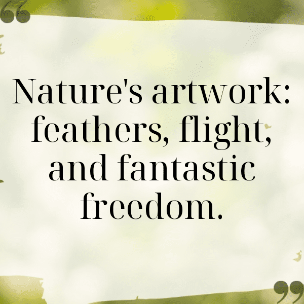 217+ Pigeon Captions For Instagram (Fresh & Trendy) 3 Pigeon Captions Image For Instagram-VXdNf5